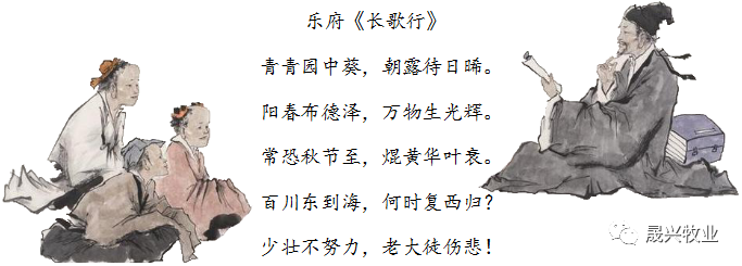 88858cc永利官网·(中国)官方网站