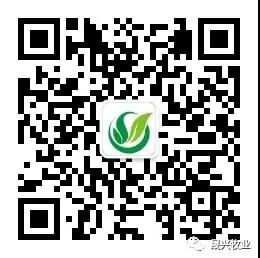 88858cc永利官网·(中国)官方网站