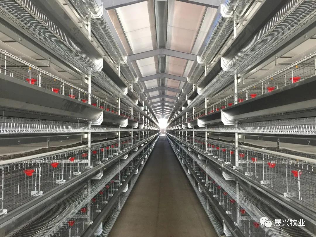 88858cc永利官网·(中国)官方网站