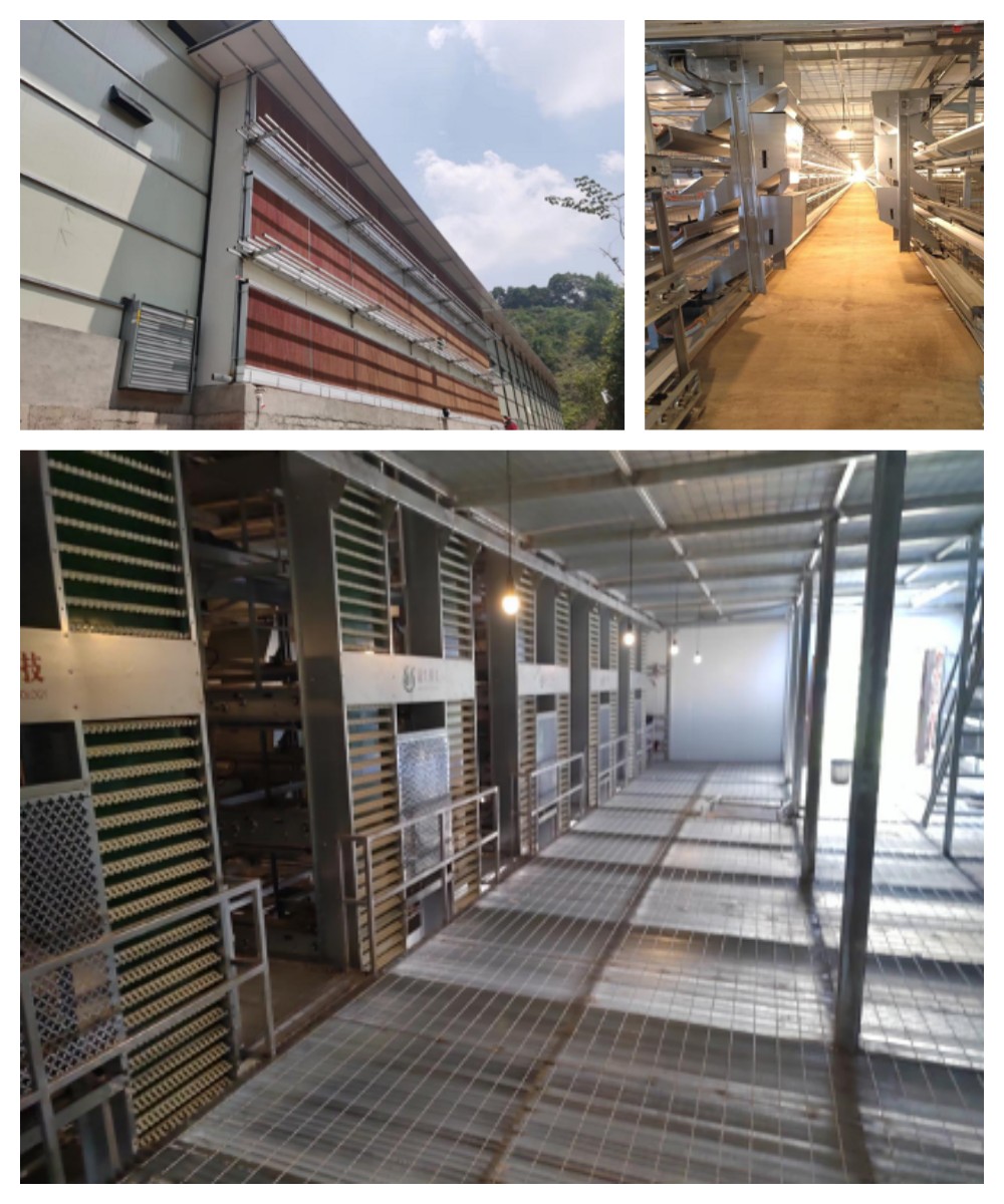 88858cc永利官网·(中国)官方网站