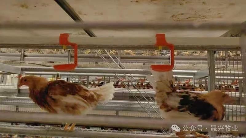 88858cc永利官网·(中国)官方网站