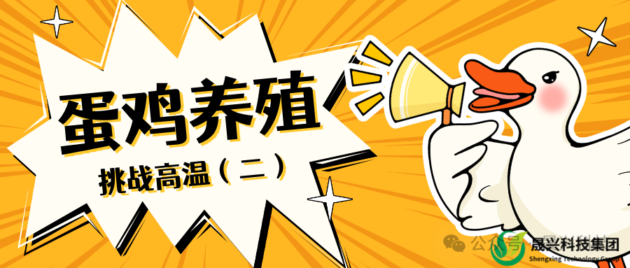 88858cc永利官网·(中国)官方网站